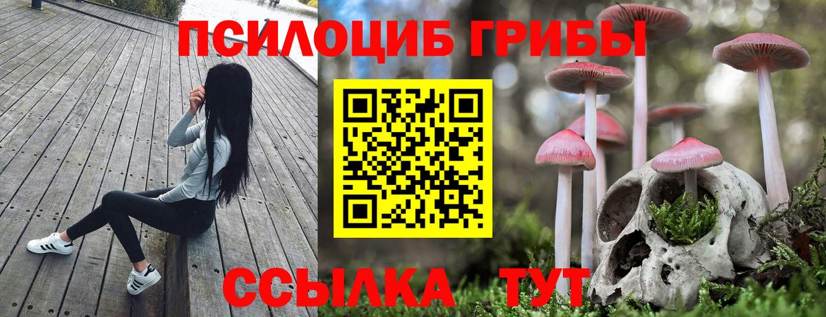 как найти закладки  Псилоцибиновые грибы Magic Shrooms  Вход с VPN  Тула 